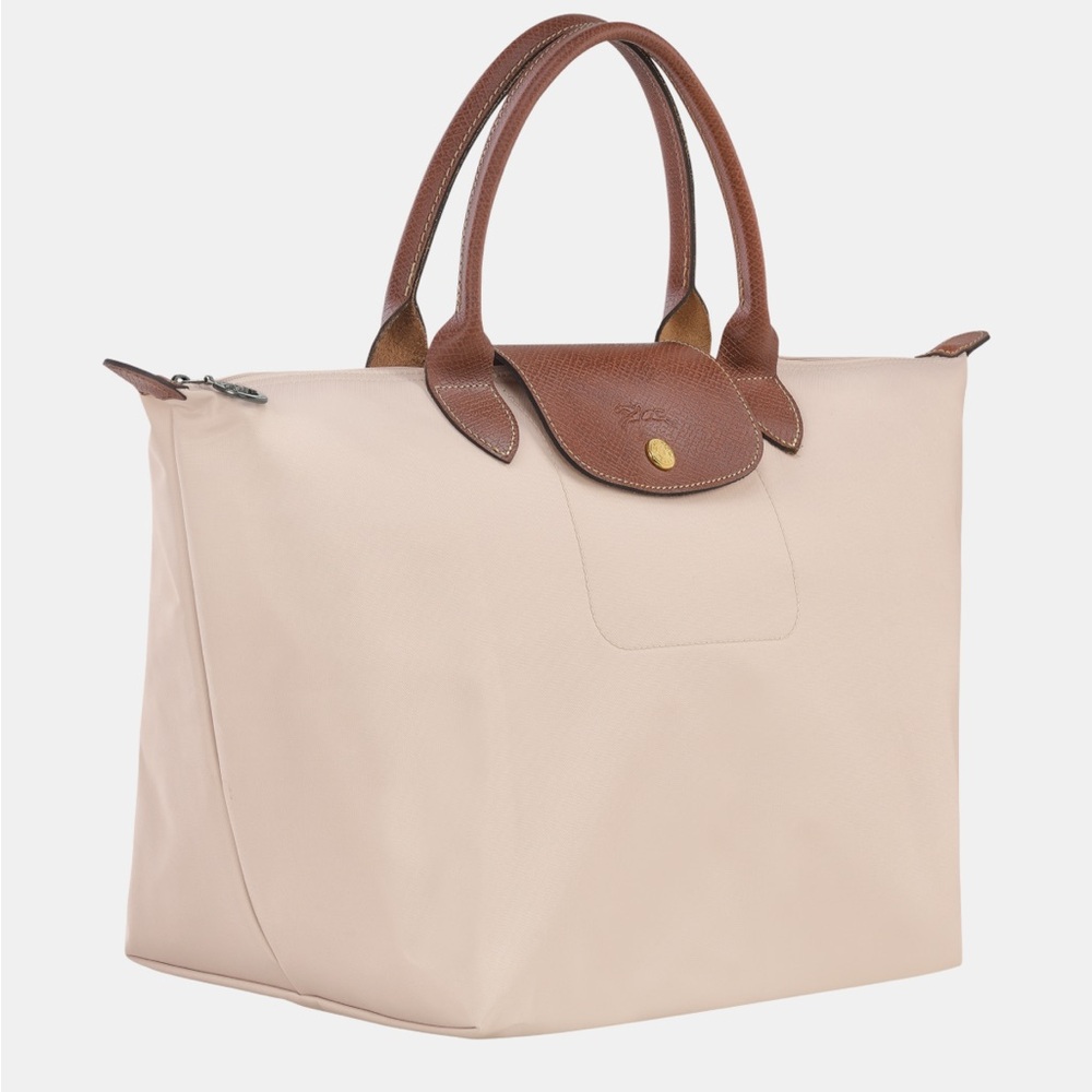 Longchamp Bag (used)